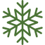 snowflake(1)